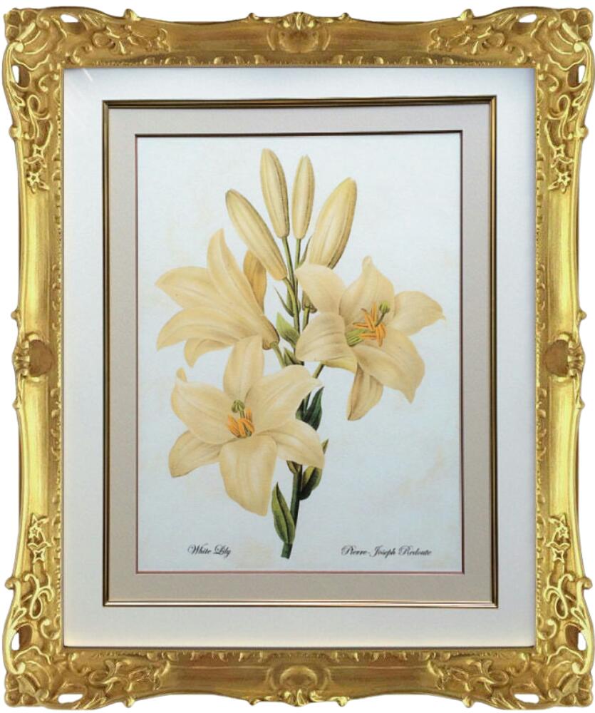 Pealimo ピーリモ 室内装飾 絵図 草木 ピエール ジョゼフ ルドゥーテ 約47cm×40糎『White Lily』花 絵 額装品 ボタニカルアート ルデューテ 写真立て 花絵 ひな型 額入り口・入口 貼り出し 格好のいい 晴れ晴れしいひな型 晴れ晴れしい ゴールド カーネーション  作物品 手工芸品