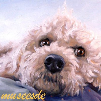 超目玉 油彩絵 動物 絵画 ペット ファブリックパネルアート ミュゼ デユ オイルペイントモダン 壁掛け Add136 蝶々 フレームなし チンパンジー カラフル ゴリラ 馬 象 馬 虫 蛙 兎 ウサギ 豚 牛 熊 猿 鹿 魚 鳥 猫 犬 手書きアートパネル Add136 Adrm Com Br