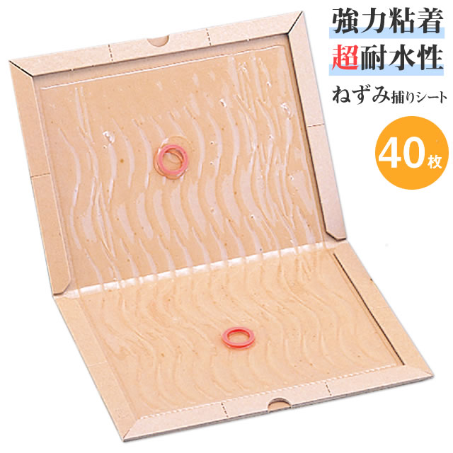 (40枚ユニット)ねずみ追い出し ねばり着く腰掛け 耐水手合い\u003cBR\u003eグルットプロ N版(20枚×2箱) たっぷりねばり着く剤 \u003cBR\u003e鼠追い出し 鼠捕り 腰掛け とりもち ねばり着く 濡れた床 勝手もと 鼠無くする 追い出し 取り押さえる\u003cBR\u003e ねずみ捕り ねずみ取り 鼠取り 鼠取り 鼠捕り 腰掛け ゲーム盤 取り押さえる腰掛け 雨合羽