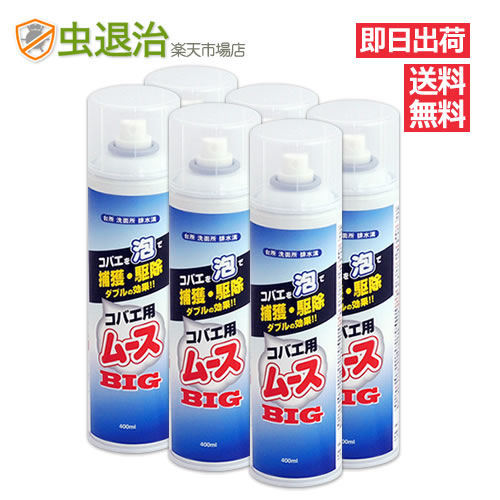 楽天市場 あす楽 お得6本箱 コバエ用ムースbig 400ml 6本 チョウバエ駆除殺虫剤 泡 コバエ 退治 虫退治楽天市場店