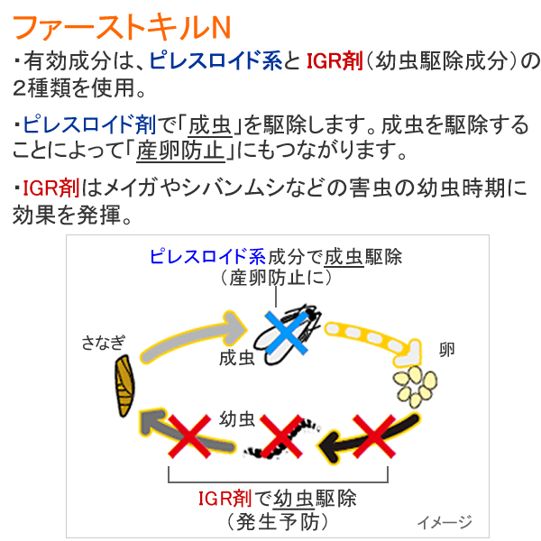 メーカー包装済 まとめ購入 ファーストキルn 400ml 6本 スポット処理用 メイガ シバンムシ チャタテムシ 発生源 幼虫駆除 プロ 業務用殺虫剤 虫退治店 初回限定 Teslaimagem Com Br