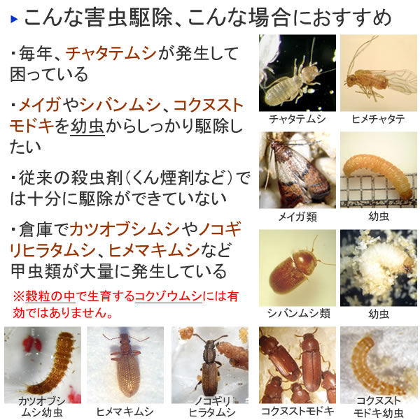 楽天市場 プロ 業務用 ファーストキルn 400ml スポット処理用 メイガ シバンムシ チャタテムシ 発生源噴霧 幼虫駆除 倉庫 工場 食品製造所 虫退治楽天市場店 楽天市場 プロ 業務用 ファーストキルn 400ml スポット処理用 メイガ シバンムシ チャタテムシ 発生源噴霧 幼虫駆除 倉庫 工場 食品製造所 虫退治楽天市場店