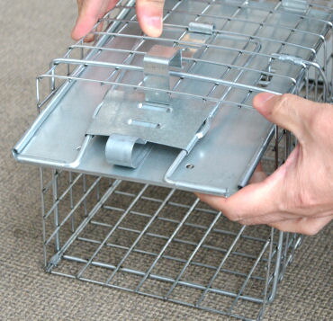 イタチ捕獲ミンクタイワンリス捕獲器アニマルトラップMODEL1078【送料無料】