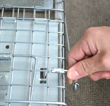 イタチ捕獲ミンクタイワンリス捕獲器アニマルトラップMODEL1078【送料無料】