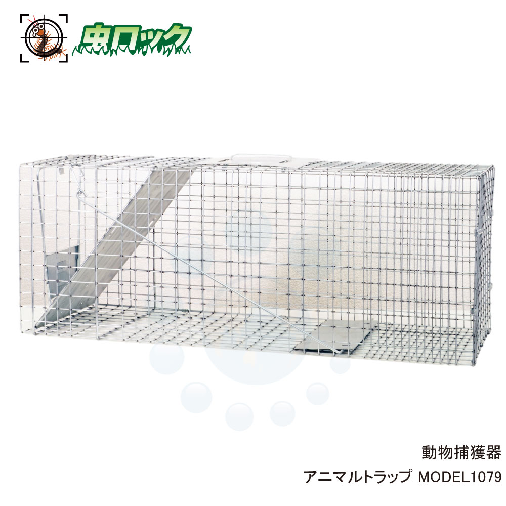 毛の荒物取り押さえる器 アニマルトラップ MODEL1079 ファームエイジ 片くい違い 踏み段式 アライグマ タヌキ ハクビシン ヌートリア イタチ