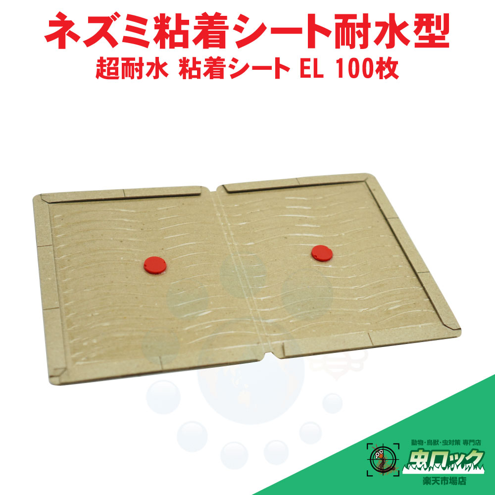 鼠打つ手 超耐水 へばり着く居敷き EL 100枚 お役目用 へばり着く式鼠捕り へばり着く居敷き へばり着く落とし穴 読みもの型
