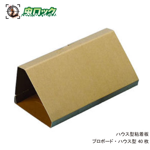 鼠ふん捕まえる 労働者階級ゲーム盤 棲み家型40枚 へばり着く落とし穴 ふん捕まえる居敷き 【貨物輸送無料】