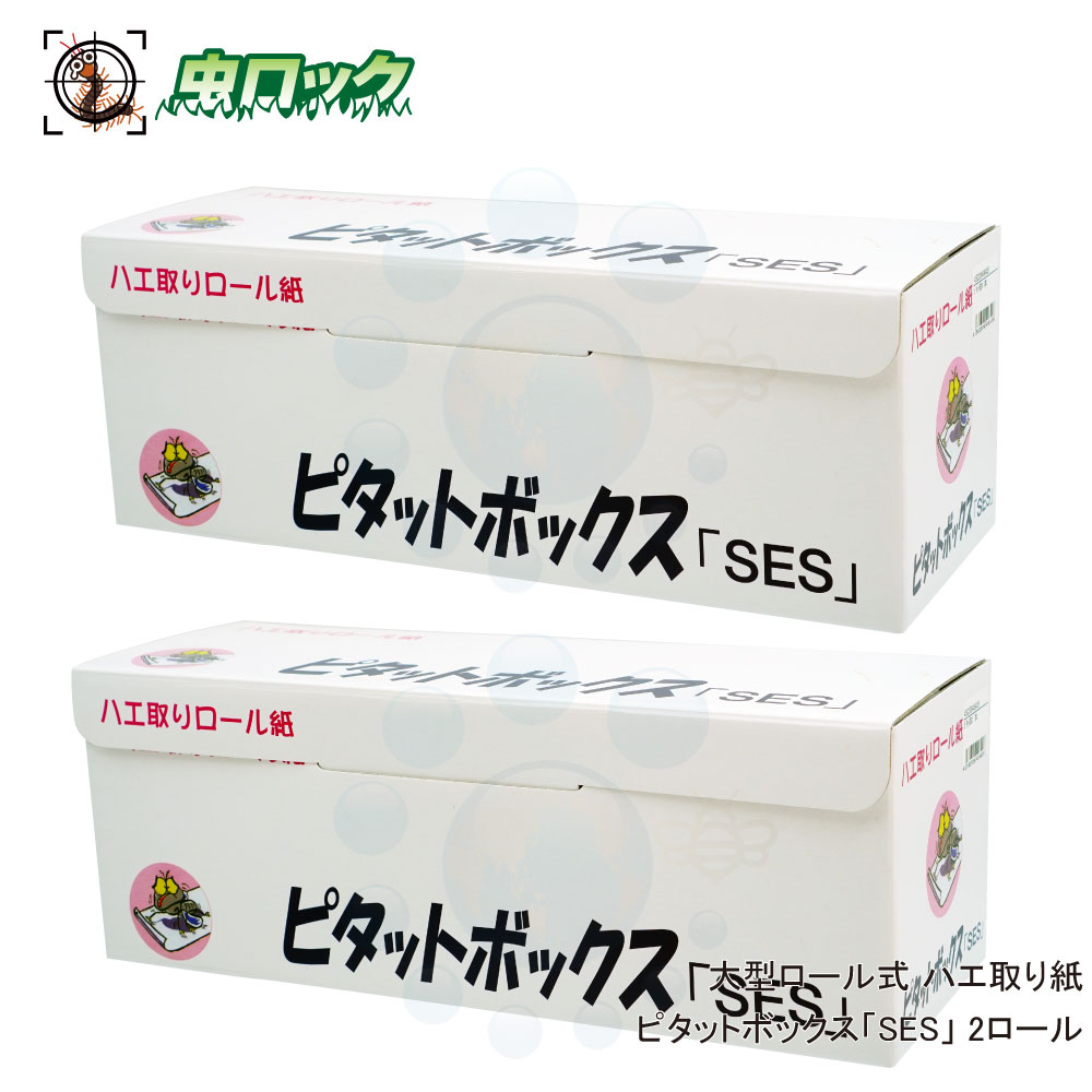 蝿捕り ピタットボックス 「SES」 2渦状文 大型蝿捕り 捕虫紙 渦状文式 【貨物輸送無料】