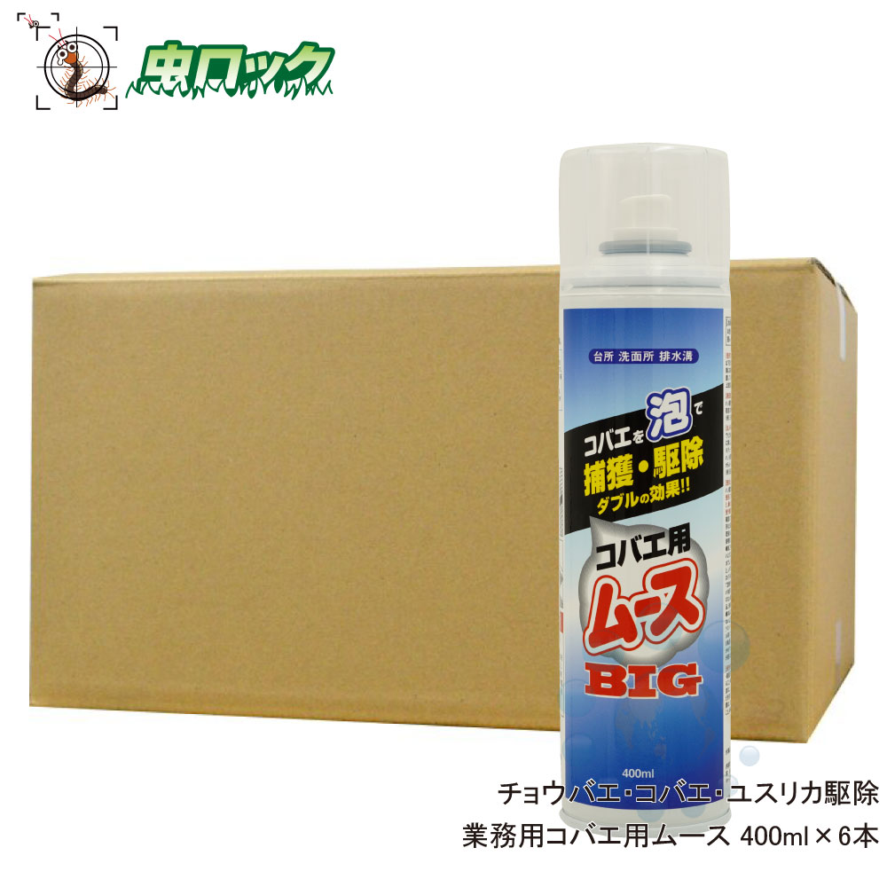 楽天市場 浄化槽害虫 チョウバエ コバエ駆除スプレー 業務用コバエ用ムース 400ml 増量タイプ 6本 排水口 生ゴミ ショウジョウバエ対策 北海道 沖縄 離島配送不可 虫ロック 楽天市場店