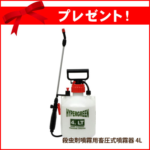 飲食店 ダニ駆除 チャバネゴキブリ駆除 ゴキラート5fl Ses 2kg 2本 フロアブル剤 フラッシュング効果 クロゴキブリ退治 送料無料 蚊 防除用医薬部外品 ハエ駆除 北海道 沖縄 離島配送不可 虫ロック 店 2本買えば噴霧器プレゼント 飲食店のチャバネゴキブリ