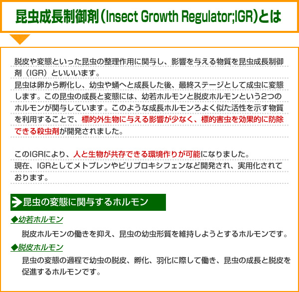 人気ブランド 楽天市場 ユスリカ チョウバエ駆除 アース スミラブ発泡錠el 0 5g錠 1000錠 10箱 幼虫駆除 殺虫剤 成長阻害 脱皮阻害 発生源対策 送料無料 北海道 沖縄 離島配送不可 虫ロック 楽天市場店 送料込 Www Faan Gov Ng