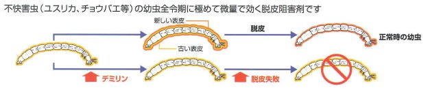 ユスリカ チョウバエ コバエ幼虫全滅 殺虫剤 デミリン泡立つ丸薬3 2錠 100個 5袋 北海道 沖縄 離島送りとどける不可 Geo2 Co Uk