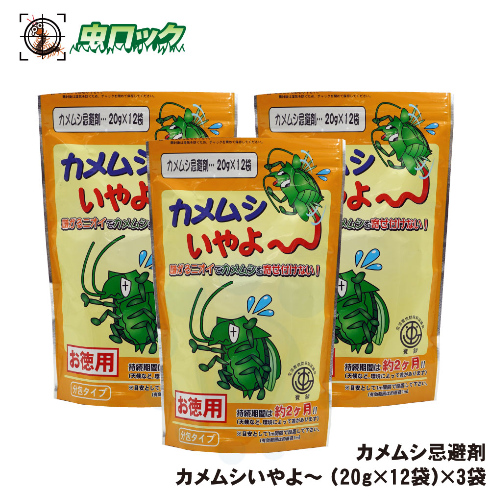 かめむしさん専用ページ 4987468428002.jpg
