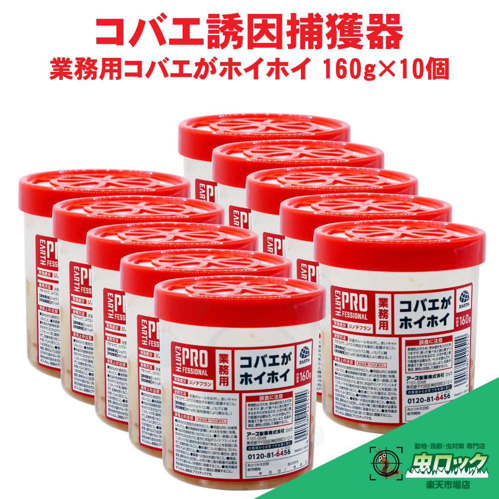 コバエ追い出し 御勤め用コバエがホイホイ 160g×10個 勝手もと 生ゴミ 生きかえる源追い出し 飲食店 屋内用 取り押さえる落とし穴 コバエ チョウバエ 打つ手 アース製薬 【貨物輸送無料】