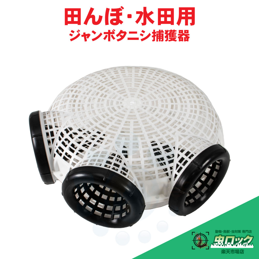 ジャンボタニシ取り押さえる器 引きずり込むエサ用サイバー空間1枚付き添い人 スクミリンゴカイ 被害 押しとどめる 打つ手 田ぼ 田んぼ 稲 ジャンボタニシ 鰻 ドジョウ 小細工 漁具 KJ-904