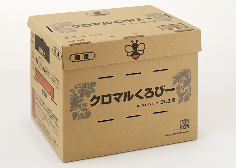 アグリセプト社製　はち頭巾（中）1箱1セット 楽天市場】はち頭巾（中） : Entomological meister むし工房