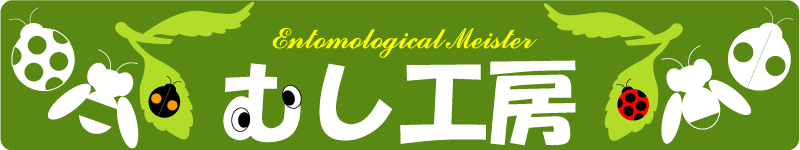 Entomological meister むし工房：昆虫学に基づいた教育玩具・採取用品・飼育用品の専門店