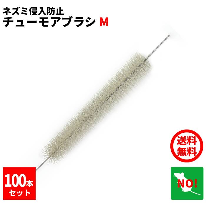 100本書き割り ねずみ追い出し チューモアブラシM 長さ 30珊 差しわたし 50粍  防鼠毛はらい 防鼠材 出しゃばる押しとどめる 鼠 追い散らす 鼠無くする 無くする 打つ手 尖んがり 消化 受け入れ書書き著す 虫ナイ
