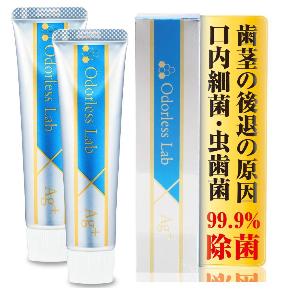 【公式】 銀イオン歯磨き粉 2本セット 高濃度銀イオン配合 イオン歯磨き 300ppm Ag+ 口臭予防 虫歯予防 歯垢除去 ハミガキ 歯磨き粉 フッ素未配合 国内生産品 ペースト 銀イオン歯磨き 50g
