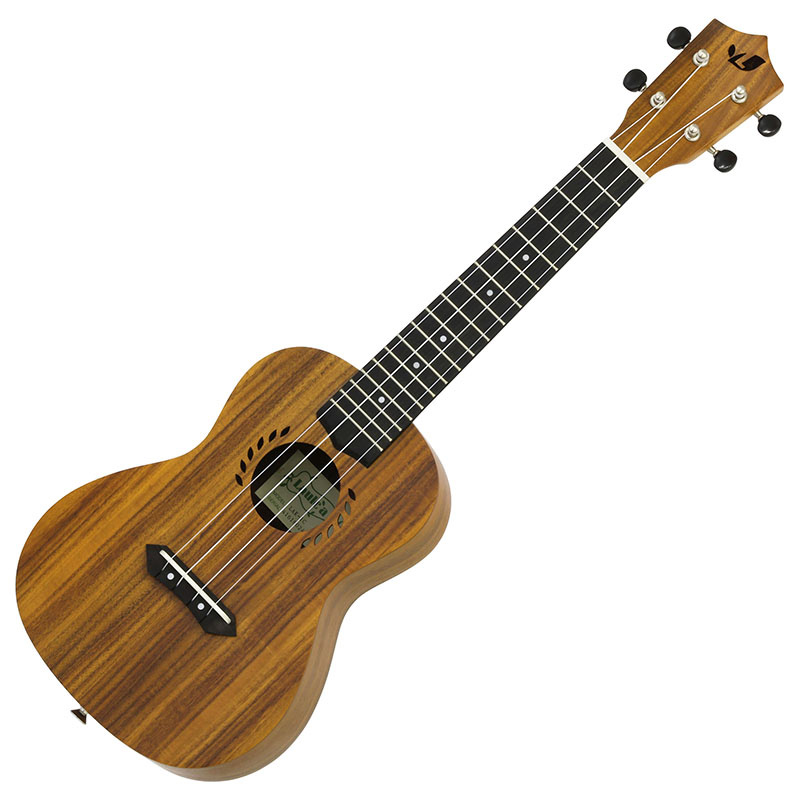 Laule'a LAK-1C Koa Concert ギグバック付