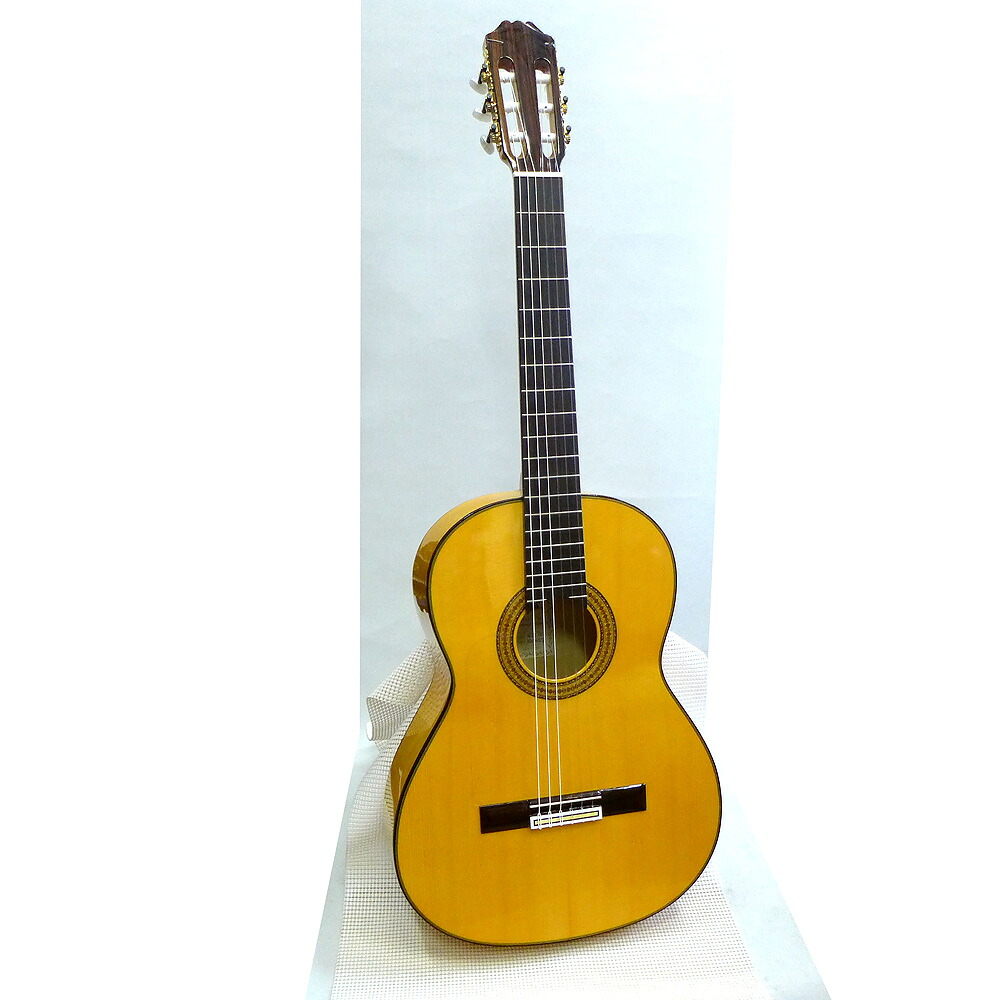 Aria ACE-9F　Flamenco- Concert ハードケースサービス