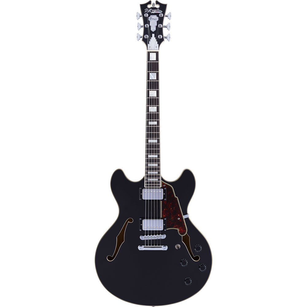 D'Angelico セミアコ　Premier DC Black Flake【ギグバック付】