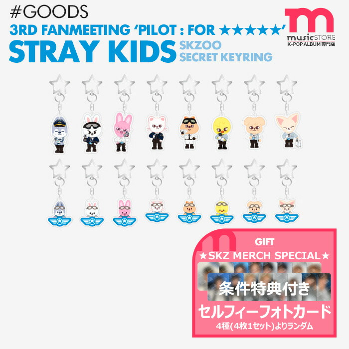 メーカー直送 stray kids pilot ペンミ パスポートセット ハン