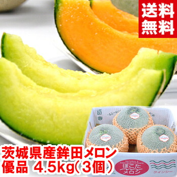 茨城県鉾田産 超大玉メロン<br>優品4Lサイズ 4.5kg（3個）<br>アンデスメロンorイバラキング<br>クインシーメロンorなだろうレッド<br>ネット系大衆赤肉メロンの王者！<br>北海道、沖縄、一部離島は別途1,000円