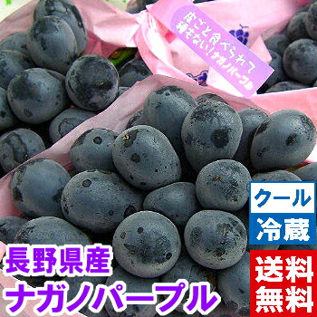 楽天市場】ナガノパープル 4L×2房 (約1.2kg) 長野産 秀品 大粒