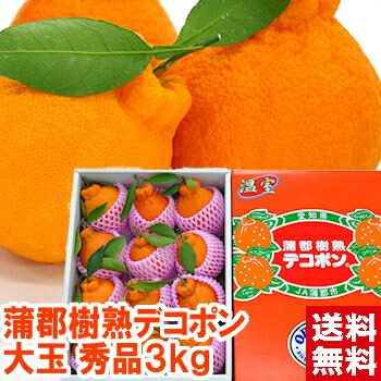 愛知県蒲郡産樹熟大玉デコポン 約3Kg（10～12個）<br>本物の美味しさを再発見!!<br>北海道、沖縄、一部離島は別途1,000円