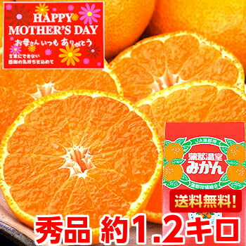 日本農業賞大賞を受賞の最高級ブランド♪<br>安心のハイテク光センサー選果！<br>蒲郡温室みかん 秀品 約1.2kg（化粧箱入り）<br>北海道、沖縄、一部離島は別途1,000円