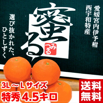 楽天市場 蜜るいよかん通信販売 愛媛県保内共選ブランドの伊予柑を販売取寄 約5ｋｇ 愛媛産 果物百貨店 浜中屋