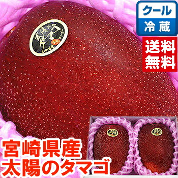 宮崎県産 太陽のタマゴ２個<br>宮崎マンゴーの最高峰！<br>北海道、沖縄、一部離島は別途1,000円