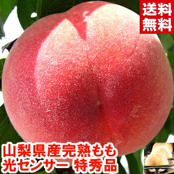 山梨の甘い桃　超特大サイズを5個詰めて発送　お買い得　ももやのきよし 山梨の甘い桃 特大サイズを6個詰めて発送 料金据え置き ももやの