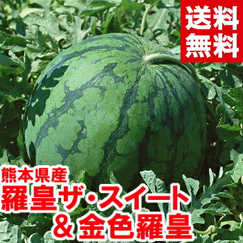 超入手困難！種ごと食べるスイカ!?<br>熊本県産 羅皇 ザ・スイート＆金色羅皇 秀品<br>北海道、沖縄、一部離島は別途1,000円