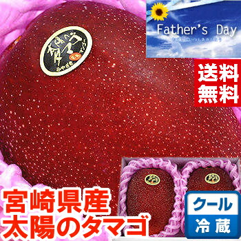 父の日 ギフト プレゼント 送料無料<br>厳しい選果基準をクリアした<br>宮崎産完熟マンゴーの最高峰!!<br>太陽のタマゴ 大玉2Lサイズ２個<br>北海道、沖縄、一部離島は別途1,000円