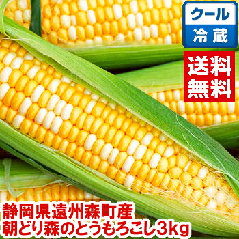 ケンショー中濃ソース 室戸海洋深層水 300ml
