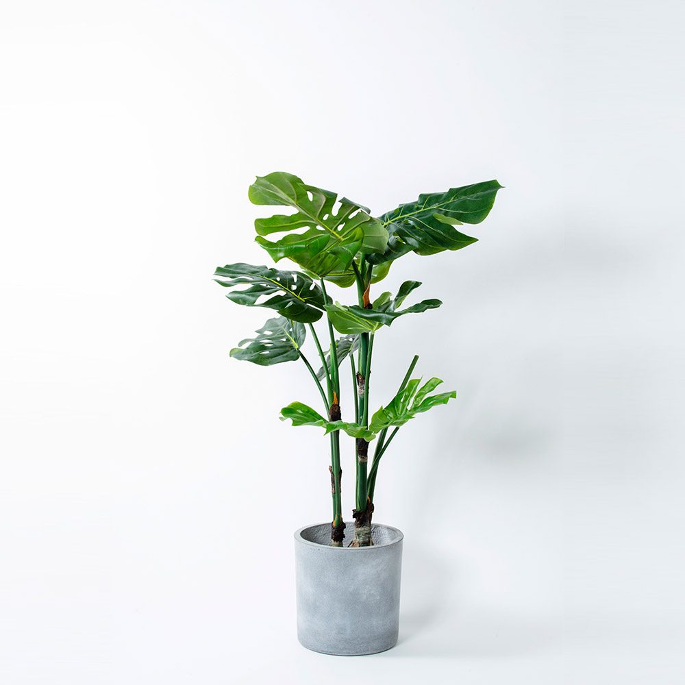 Monstera S モンステラ ホウライショウ 観葉植物 フェイクグリーン 人工 造花 おすすめ おしゃれ インテリア 大きい 南国 リゾート ホテル Diy お祝い 樹木 鉢別売り Rvcconst Com