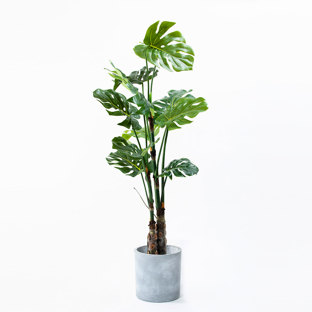 Monstera S モンステラ ホウライショウ 観葉植物 フェイクグリーン 人工 造花 おすすめ おしゃれ インテリア 大きい 南国 リゾート ホテル Diy お祝い 樹木 鉢別売り Rvcconst Com