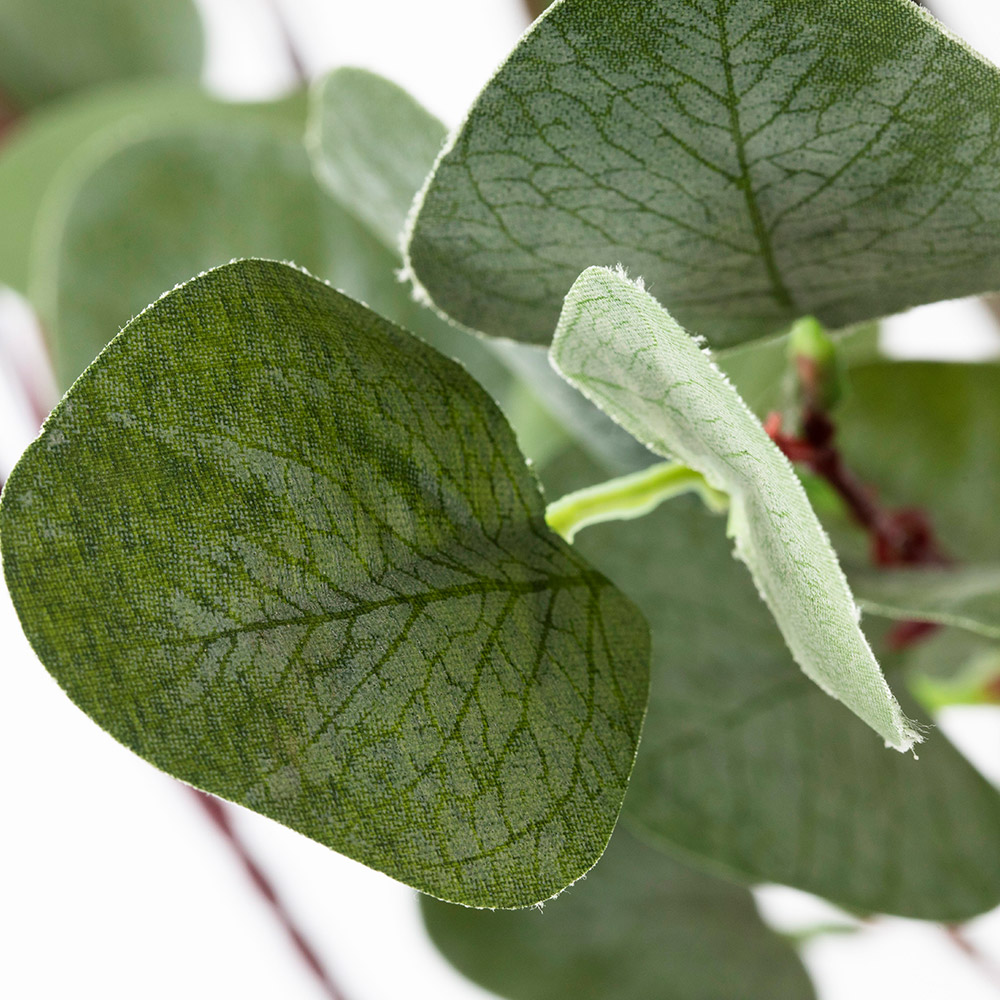 Eucalyptus S ユーカリ 観葉植物 フェイクグリーン 人工 造花 おすすめ おしゃれ インテリア 大きい ナチュラル 男前 Diy お祝い 樹木 鉢別売り Christine Coppin Com