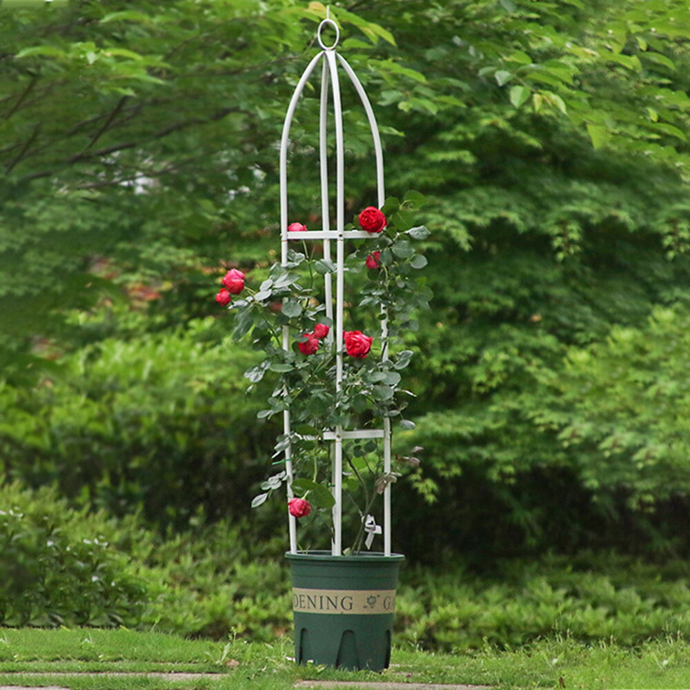 セールsale Off オベリスク アイアン トレリス バラ用 ガーデン 支柱 花支え 送料無料 つるバラ 薔薇 庭 ガーデニング 誘引 操作簡単 金属製 簡易組立式 高さ調節可能 つる性植物 つる花 ばら 菜園 組み立て 園芸 耐候性 装飾 園芸植物登山トレリス 植物サポート