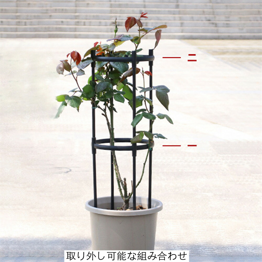 人気アイテム オベリスク アイアン トレリス 高さ調節可能 バラ用 ガーデン 支柱 花支え 送料無料 つる バラ 薔薇 庭 ガーデニング 誘引 操作簡単 金属製 簡易組立式 つる性植物 つる花 ばら 菜園 組み立て 園芸 耐候性 装飾 植物登山 植物サポート Sferavisia Hr