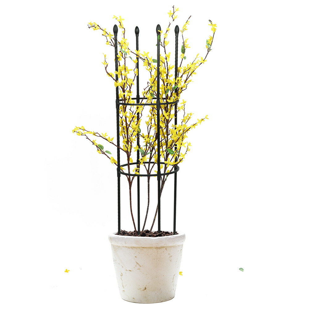 ２個セット トレリス バラ用 オベリスク アイアン ガーデン 支柱 花支え 送料無料 つる ファッションデザイナー バラ 薔薇 庭 ガーデニング 誘引 花 操作簡単 菜園 ばら 園芸植物登山トレリス 金属製 装飾 耐候性 園芸 簡易組立式 植物サポート つる性植物 組み立て 高さ