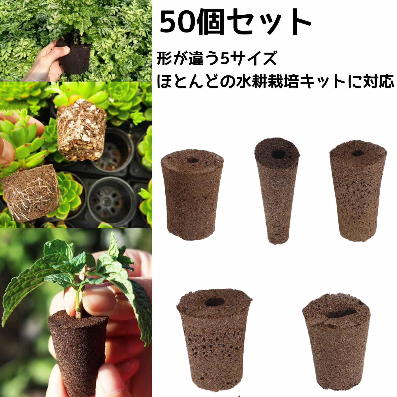 楽天市場】iDOO 水耕栽培キット 12個の発芽キット専用交換 備品