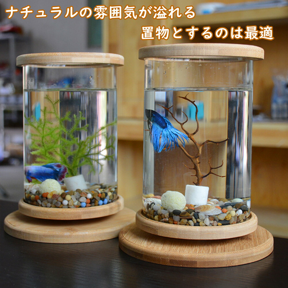 卓上 水槽 アクアリウム ミニ水槽 金魚鉢 おしゃれ かわいい