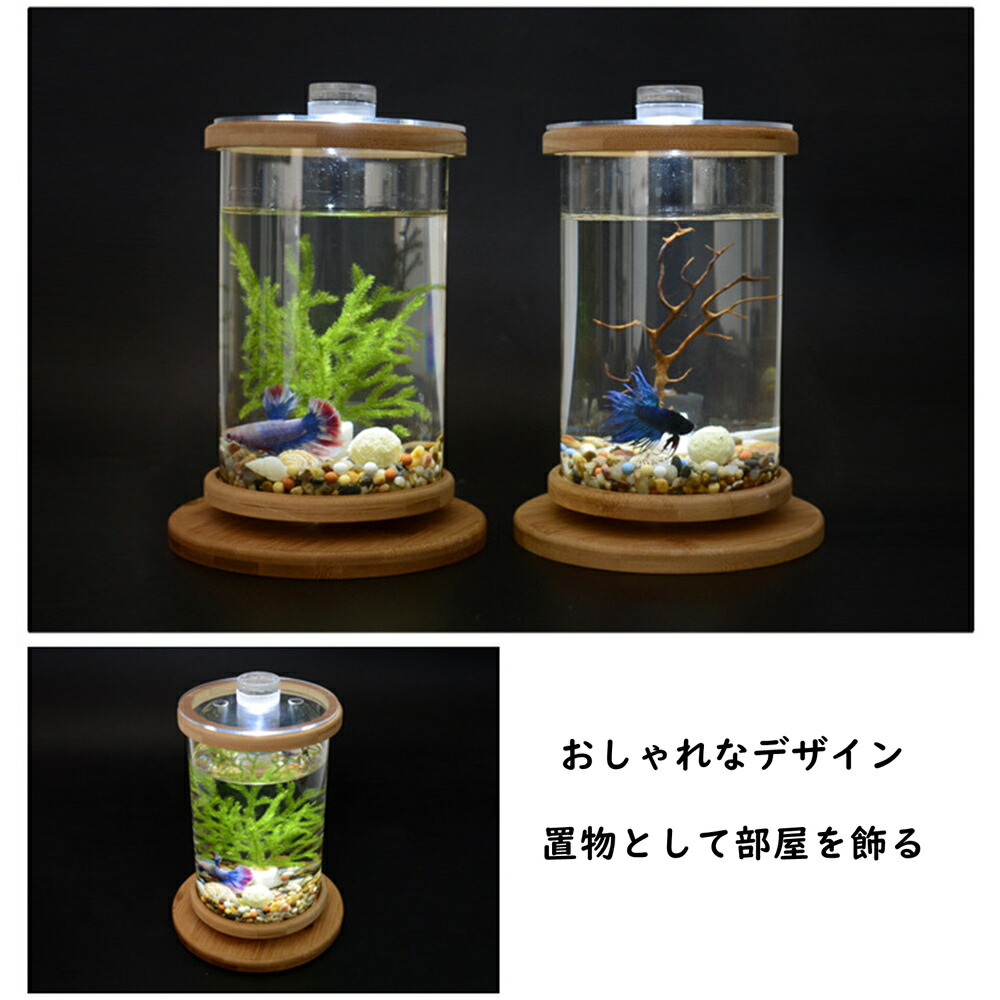 卓上 水槽 アクアリウム ミニ水槽 金魚鉢 おしゃれ かわいい