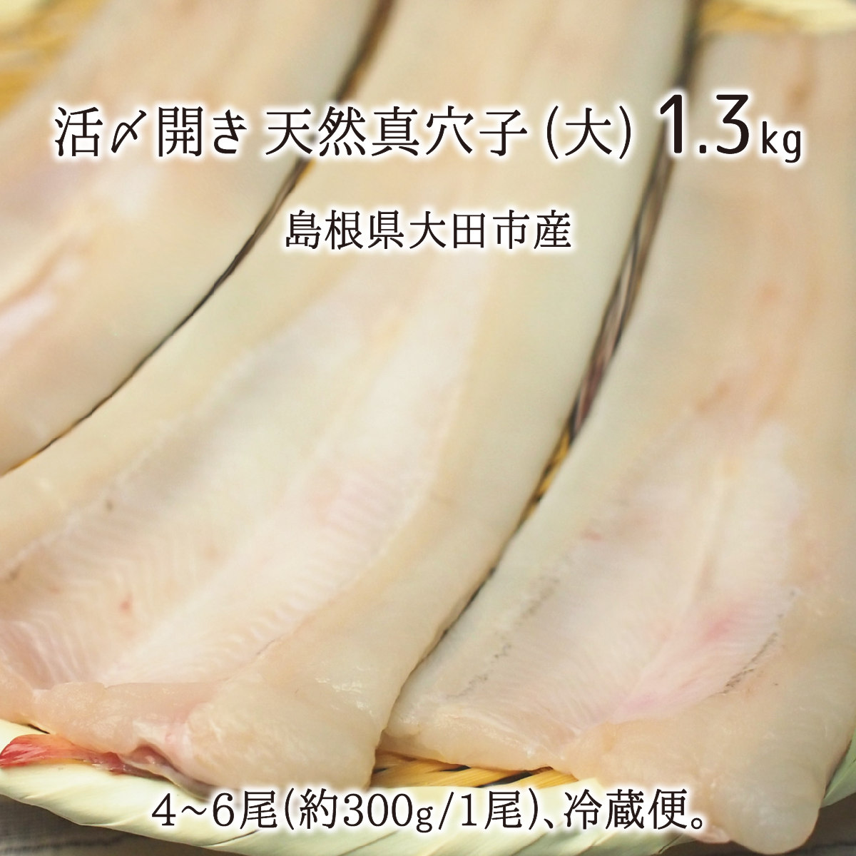 活〆　開き　天然真穴子　マアナゴ　島根県山陰沖産　生　煮アナゴ　1.3kg(4〜6尾)　国産　白焼き　蒲焼　送料無料　大　冷蔵