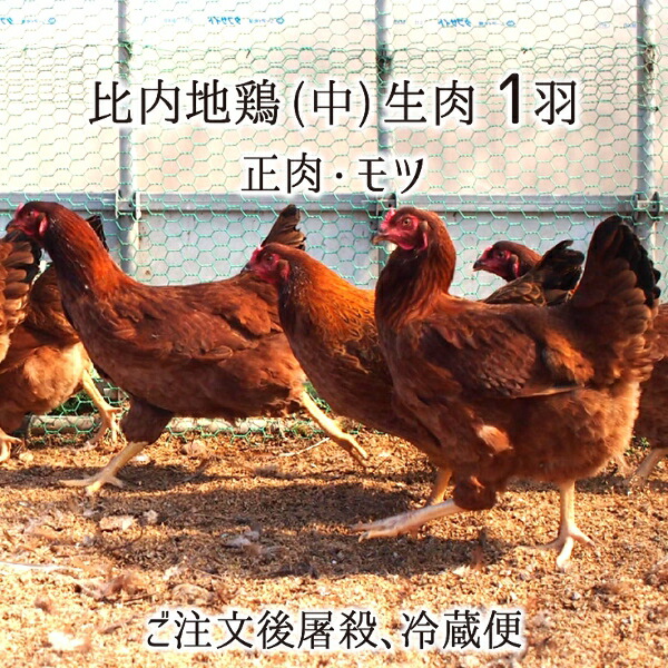 楽天市場 比内地鶏 中型 1羽 生肉 正肉 約1kg もつ 約150g 秋田県大仙市産 むね もも ささみ せせり 手羽先 皮 ぼんじり ハツ レバー 砂肝 送料無料 産直 むすび 楽天市場 比内地鶏 中型 1羽 生肉 正肉 約1kg もつ 約150g 秋田県大仙市産 むね もも ささみ せせり 手羽先 皮 ぼんじり ハツ レバー 砂肝 送料無料 産直 むすび