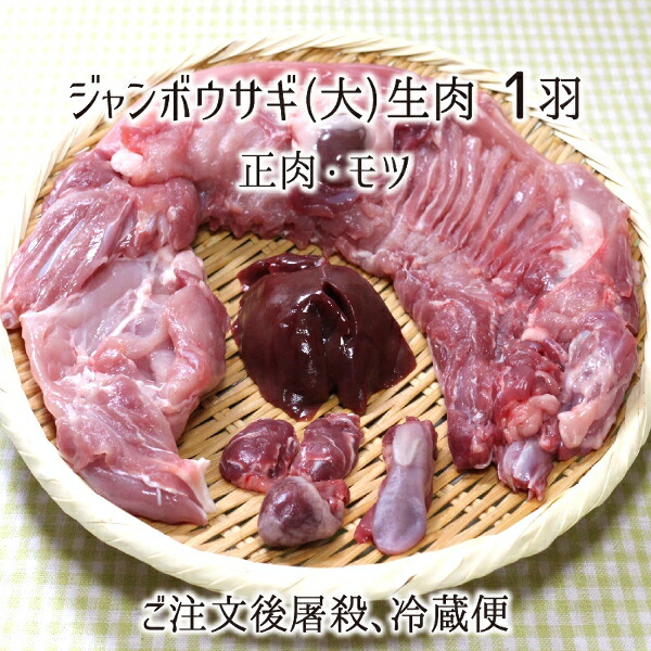 お歳暮 楽天市場 ジャンボウサギ 大 1羽 生肉 正肉 約1 5kg もつ 約100g 秋田県大仙市産 むね もも うで はら ハツ レバー タン 腎臓 国産 兎 ラパン 送料無料 産直 むすび 高速配送 Lexusoman Com