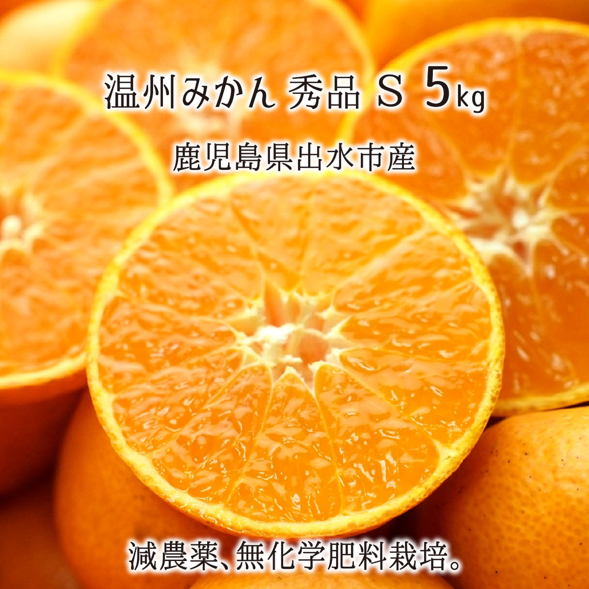 楽天市場 温州みかん 秀品 小玉 S 10kg 鹿児島県出水市産 減農薬 無化学肥料 特別栽培 ミカン 10月下旬 12月中旬 送料無料 産直 むすび